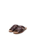 EVERGREEN BROWN