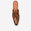 NAPLES BROWN SNAKE