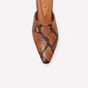 NAPLES BROWN SNAKE