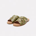 EVERGREEN GREEN